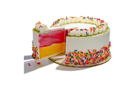 VIENETTA ICE CREAM CAKE